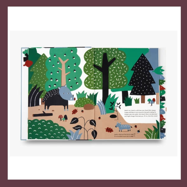 Through the Forest Children's Book